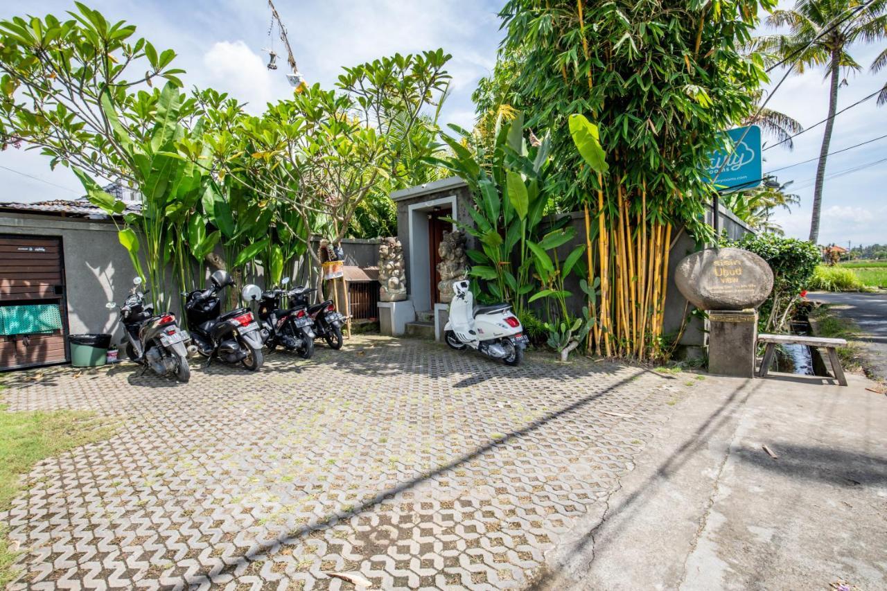 Sisin Ubud View Екстер'єр фото
